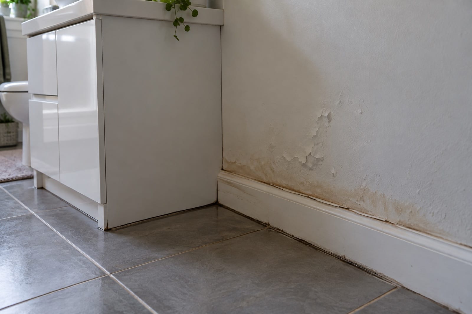 Bubbling paint and a swollen skirting board next to a bathroom vanity